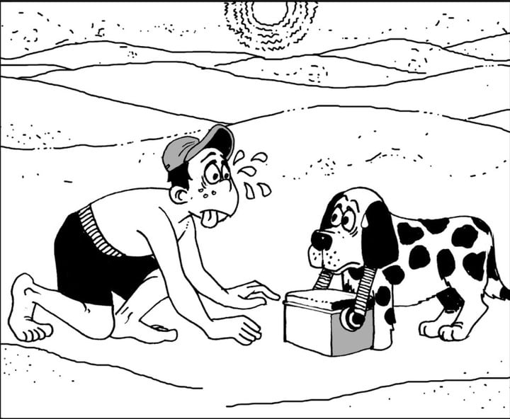 La segunda imagen, apenas diferente.