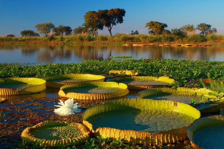 Parque Nacional Pre-Delta. Foto Parques Nacionales.