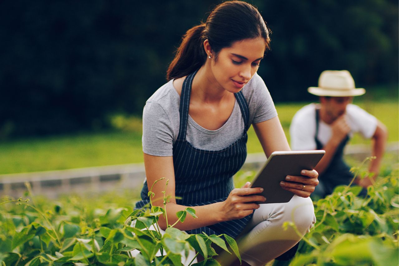 Bi Bank lidera el camino hacia la sostenibilidad en el sector bancario