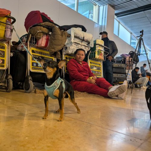 Vuelos a Venezuela: ¿Qué pasa y qué opciones tienen los varados? La guía definitiva